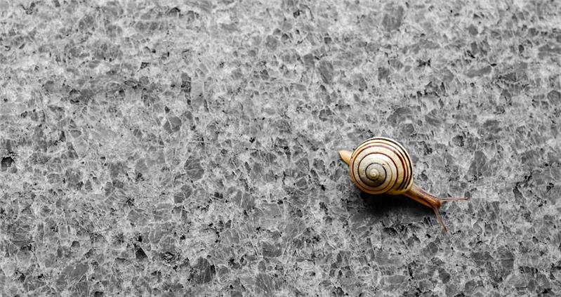 IL GRANITO E LE SUE ORIGINI