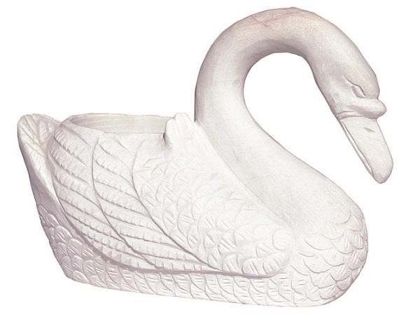 CIGNO